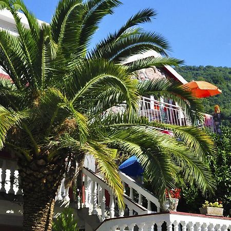 Radonjic Apartments Μπούντβα Εξωτερικό φωτογραφία
