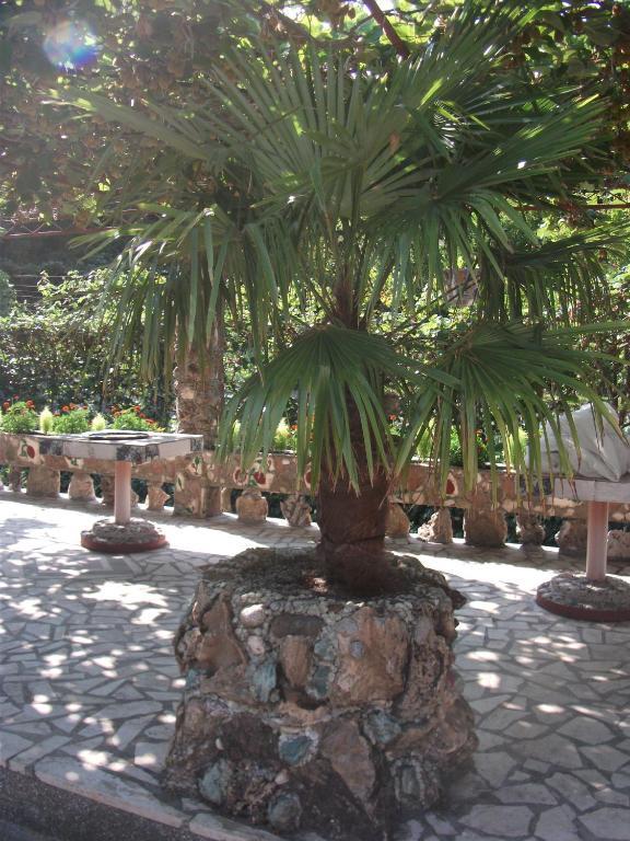 Radonjic Apartments Μπούντβα Εξωτερικό φωτογραφία